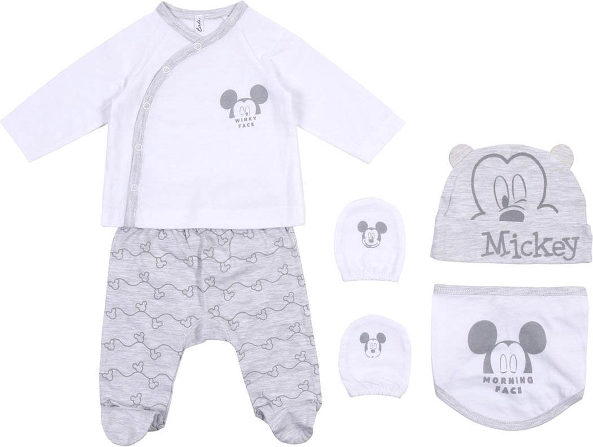 Minnie - Geschenkverpakking 4 stuks - Roze-Wit - Grijs-Wit - Baby - Neuw born